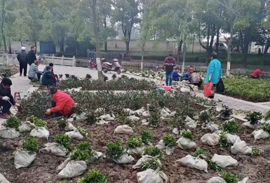 mmexport1619658713785-01.jpeg