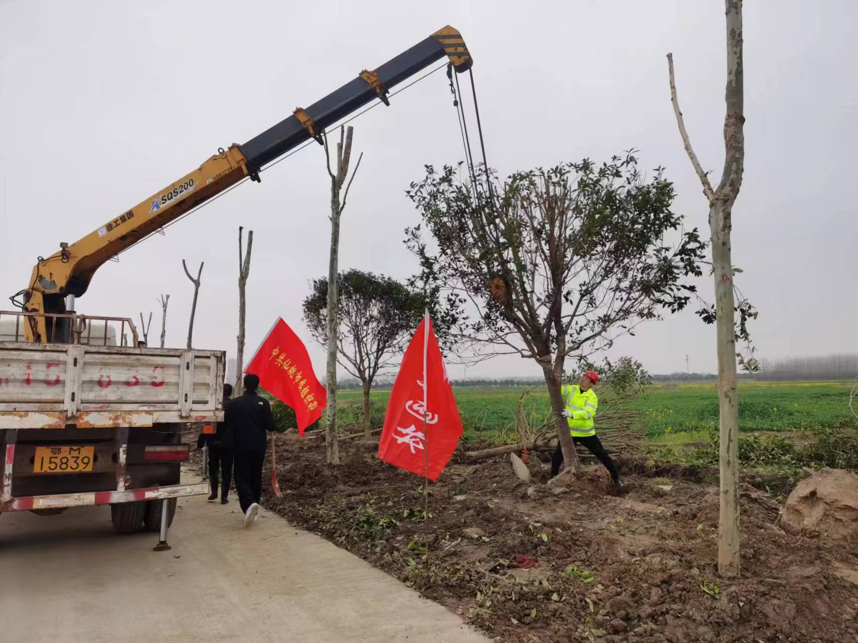 春回大地添新绿 携手共建美家园——市园林绿化所组织开展全市春季义务植树活动